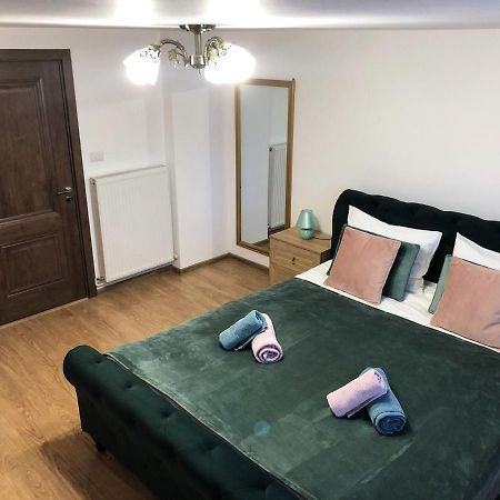 Ultra Central Apartment, Free Parking Oradea - Stray Cats Exterior photo